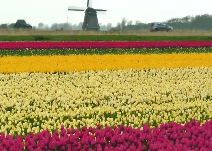 De Korre 4 Mit Privatem Garten Und Terrasse By Interhome Holiday home