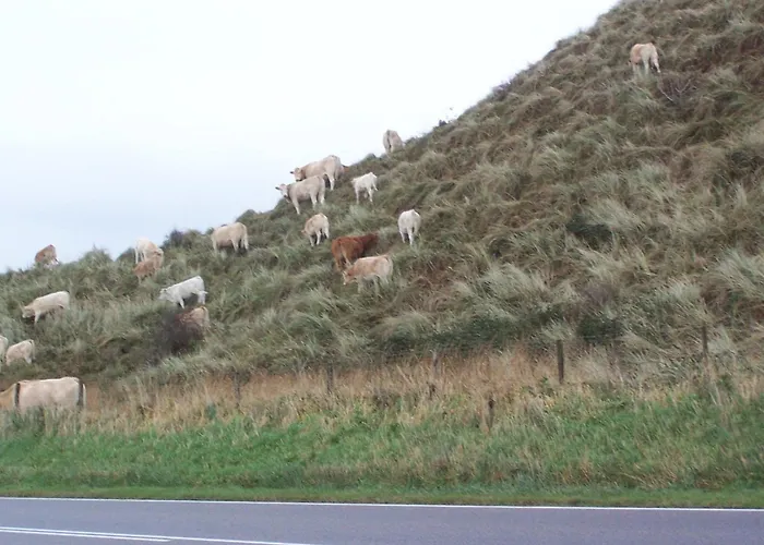 De Korre 4 Mit Privatem Garten Und Terrasse By Interhome *