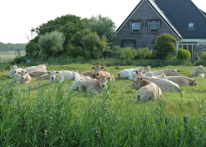 De Korre 4 Mit Privatem Garten Und Terrasse By Interhome Callantsoog