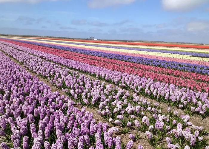 De Korre 4 Mit Privatem Garten Und Terrasse By Interhome Callantsoog