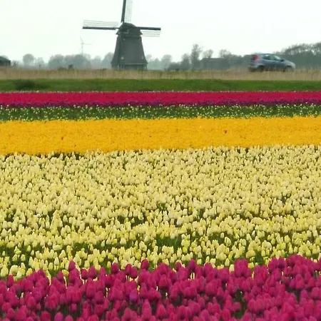 De Korre 4 Mit Privatem Garten Und Terrasse By Interhome Vakantiehuis