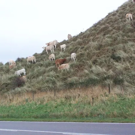 De Korre 4 Mit Privatem Garten Und Terrasse By Interhome *