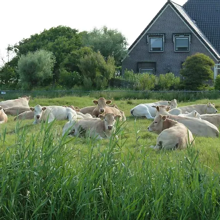 De Korre 4 Mit Privatem Garten Und Terrasse By Interhome Callantsoog