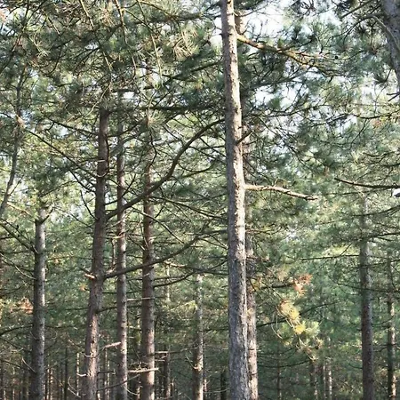 De Korre 4 Mit Privatem Garten Und Terrasse By Interhome Vakantiehuis