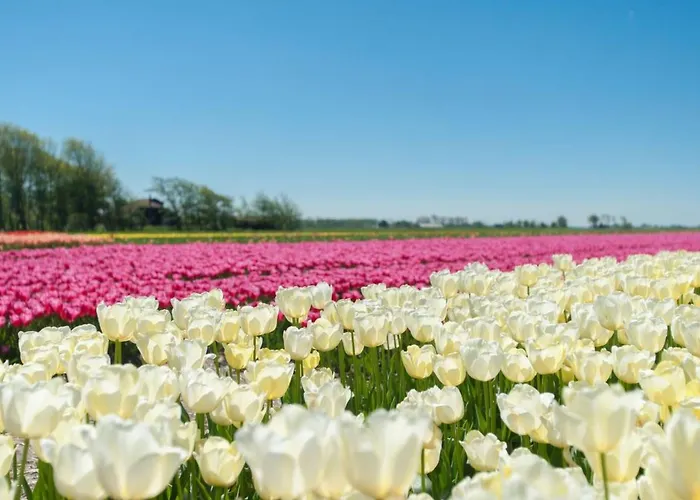De Korre 4 Mit Privatem Garten Und Terrasse By Interhome