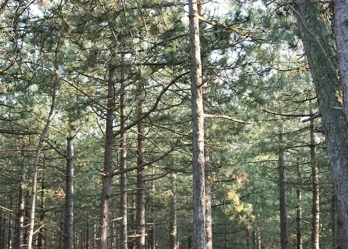 De Korre 4 Mit Privatem Garten Und Terrasse By Interhome Tatil Evi